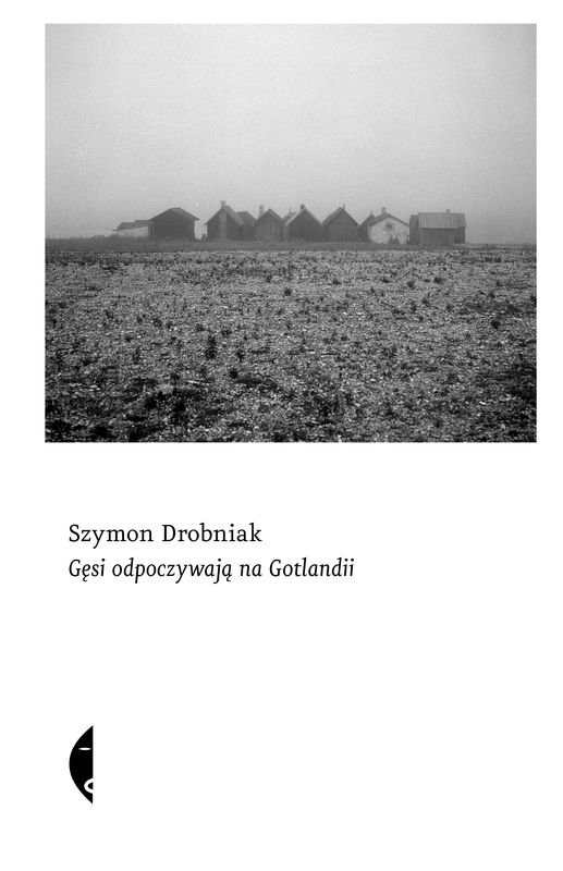grafika przedstawia okładkę recenzowanej książki „Gęsi odpoczywają na Gotlandii”.